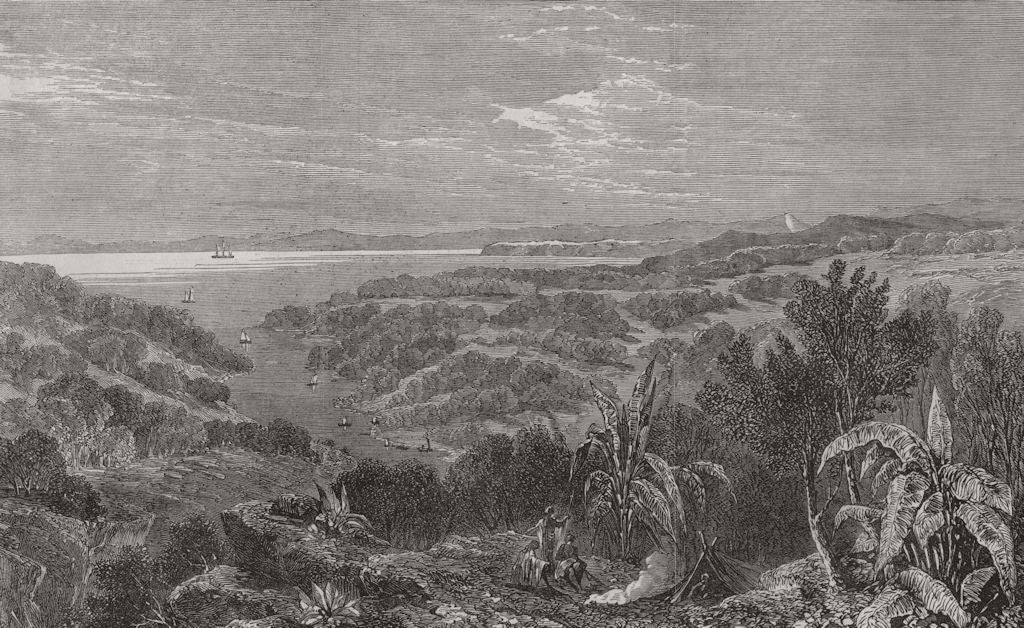 AUCKLAND. Manukau harbour. New Zealand 1863 old antique vintage print picture